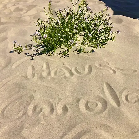 Haus Carola 3* Juist